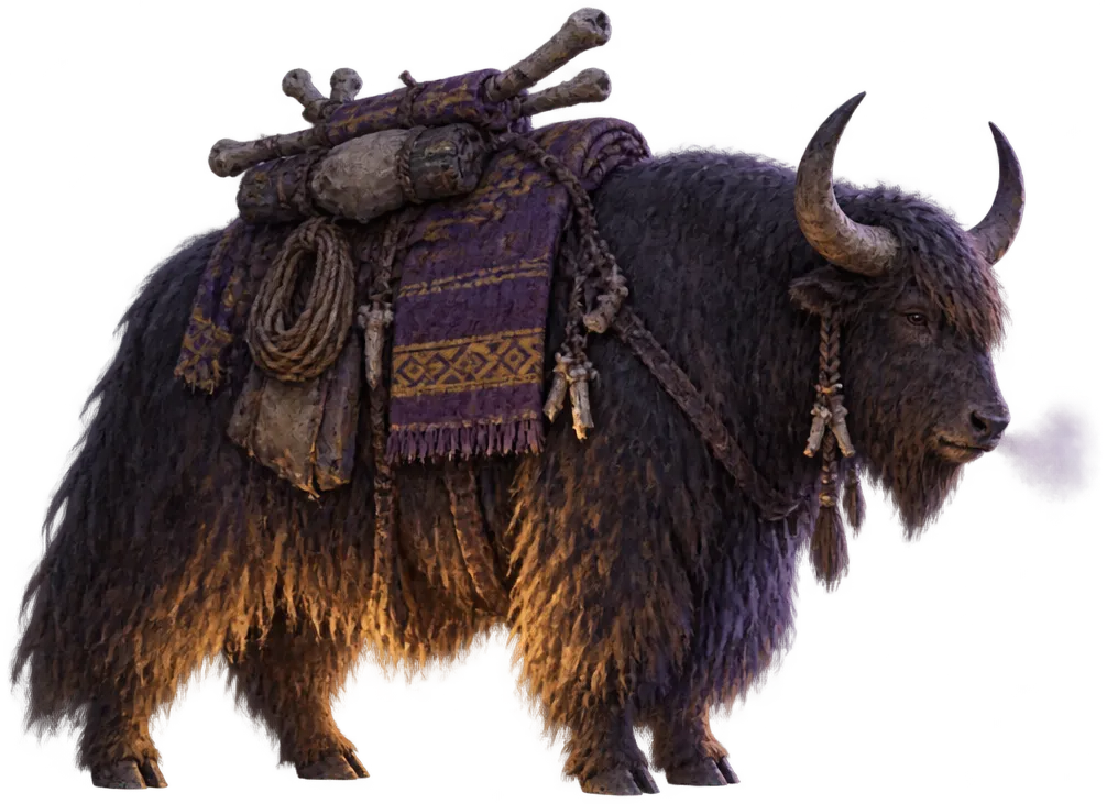 Yak beban berbulu panjang dengan selimut pelana bergaris ungu dan kuning.